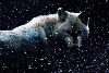 《權力遊戲》裡的「冰原狼」是否真有其獸？