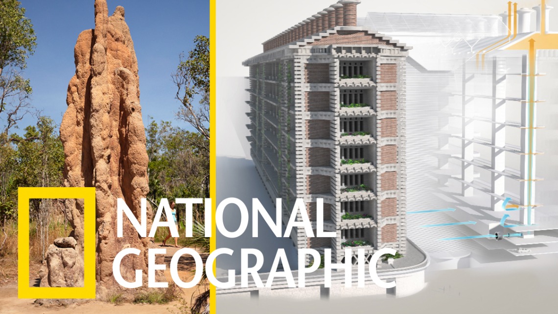 解碼自然：受到白蟻丘的啟發，這棟非洲大樓不用冷氣就能「自然涼」！