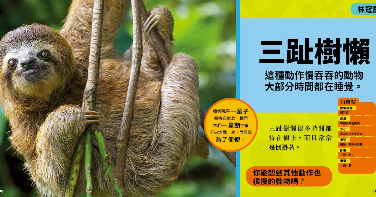 國家地理小小雨林探險家》三趾樹懶- 國家地理雜誌中文網
