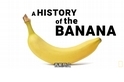兩分鐘帶你熟悉「香蕉史」