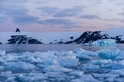 南極半島溫度創史上新高！但這記錄恐怕維持不久