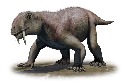 化石顯示，並非所有的劍齒動物都是掠食者！