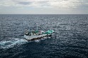 船員說，人權侵犯與野生動物犯罪在臺灣遠洋漁船上屢見不鮮 