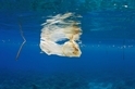 超乎想像的海洋塑膠垃圾量