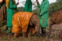 大象雨衣