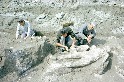 龐貝城考古