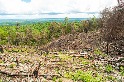 毀林面積逾一個泰國 調查：本世紀東南亞山區森林加速流失