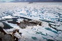科學家意外發現世界最北島嶼 冰層融化將浮現更多 海域劃分添變數