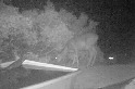 罕見畫面：相機陷阱拍下美洲獅獵捕鹿隻