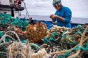 海岸生物隨塑膠垃圾漂流外海 學者憂「新遠洋群落」成生態陷阱