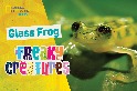 怪奇生物：半透明的蛙中忍者