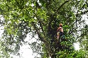 新研究替阿里山巨木「減齡」 樹芯樣本精準推估 最年長紅檜高齡1515歲