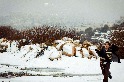 降雪的紛爭之城