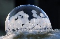 看肥皂泡泡在冷空氣中凍結