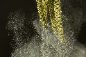 氣候變遷恐延長花粉過敏季