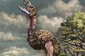 是什麼讓「駭鳥」那麼可怕？新發現的化石足跡揭露了殺手鳥爪