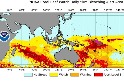 熱到「破表」 NOAA珊瑚白化監測新增三個警戒級別