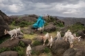 索馬利蘭：牧羊女孩