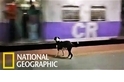 狗狗每天準時出現在火車站，難道是「忠犬八公」翻版？