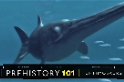 101史前教室：叱吒遠古海洋的魚龍