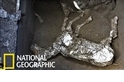 「來不及逃脫……」龐貝古城發現繫有韁繩的馬匹遺骸