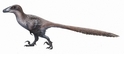 看過《侏羅紀公園》的伶盜龍嗎？伊朗發現了兩趾恐龍足跡