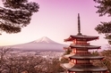 赴一場富士山的光彩饗宴