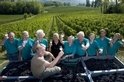 【酩品生活】葡萄酒世界的頂級風土（Terroir）—法國波爾多