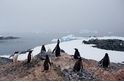 南極氣溫可能已創歷史新高