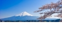 【城市啡聞】富士山下的一抹綠
