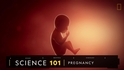 101科學教室：懷孕的奧祕