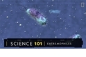 101科學教室：嗜極生物