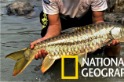不丹王國的神聖黃金魚：黃鰭結魚