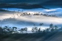 隆慶山的晨霧