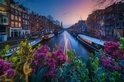 阿姆斯特丹之春