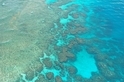 管理出包？ 大堡礁集水區驗出高濃度殺蟲劑