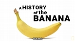 兩分鐘帶你熟悉「香蕉史」