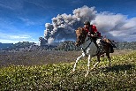 婆羅摩火山的牛仔