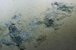 馬里亞納海溝疑似微生物的物質，暗示了木星衛星可能的生命樣貌