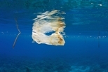 超乎想像的海洋塑膠垃圾量