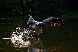 水花四濺