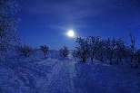 月光雪徑