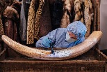 停止野生動物非法貿易