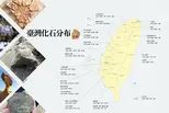 成為恐龍獵人 - 台灣化石分佈圖