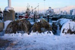 受困雪中