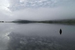 阿羅利克