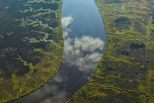 狂野溼地：水光雲影
