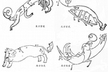 中國古代的星空和希臘有什麼不同？