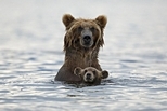 親子時刻：大熊與小熊