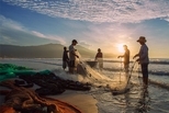 越南風情：收網的漁人